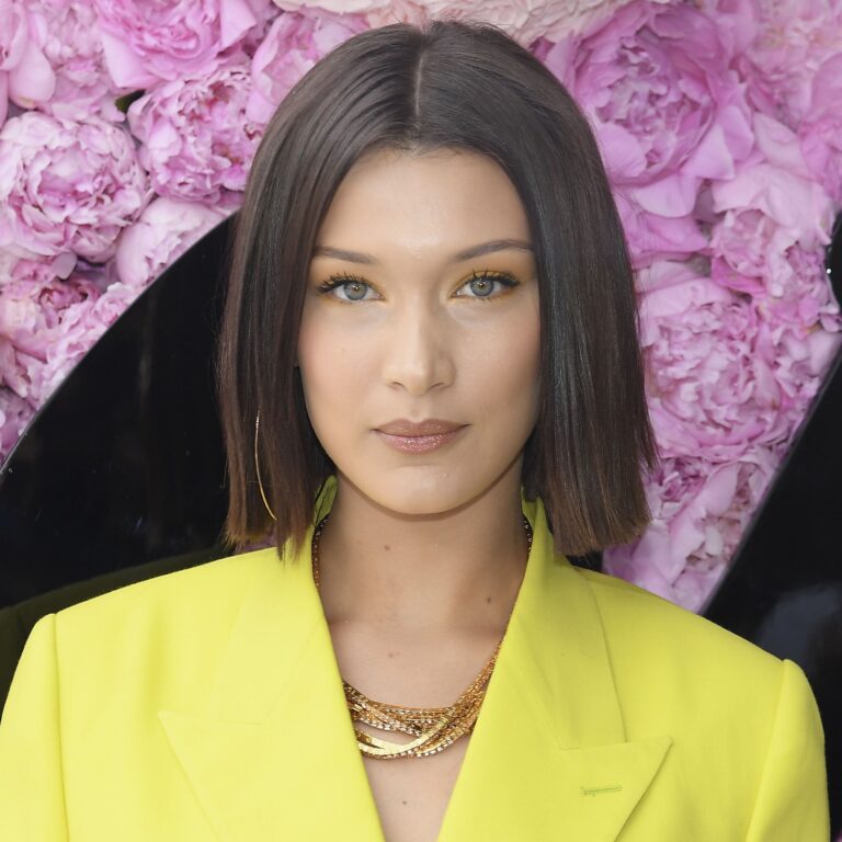 Bella Hadid World Beautiful Girl